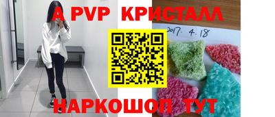 кокс Кингисепп