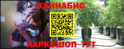 кокс Кингисепп