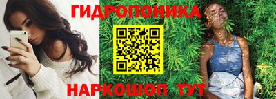 кокс Кингисепп