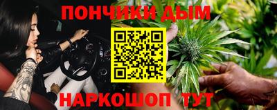 кокс Кингисепп