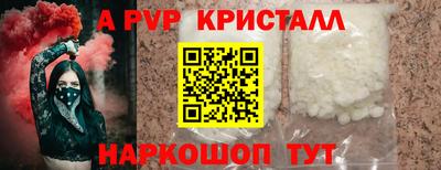 кокс Кингисепп